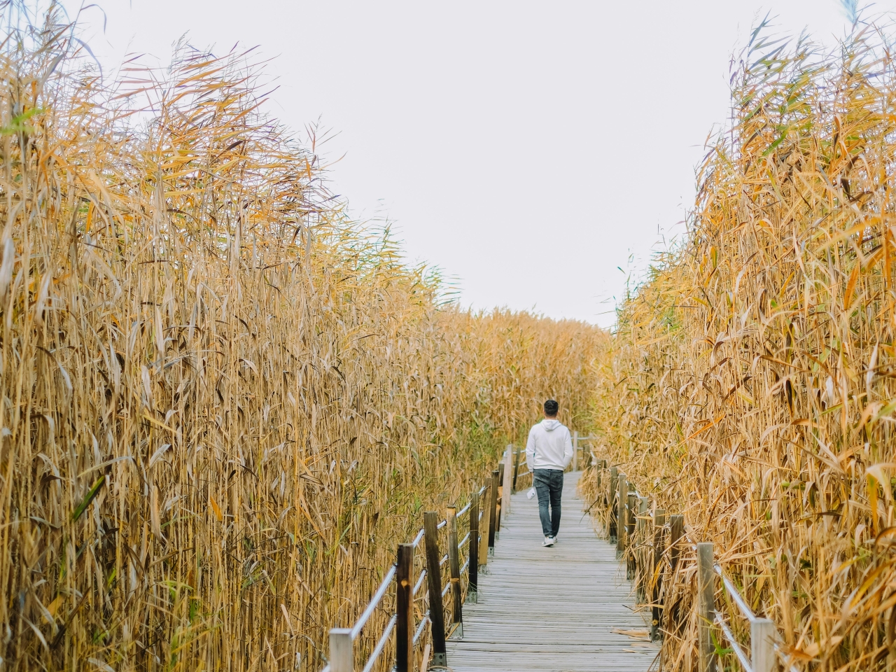 10-asis „Odessa Classics“ festivalis. LNSO, choras „Vilnius“, Alexey Botvinov, Modestas Pitrėnas....