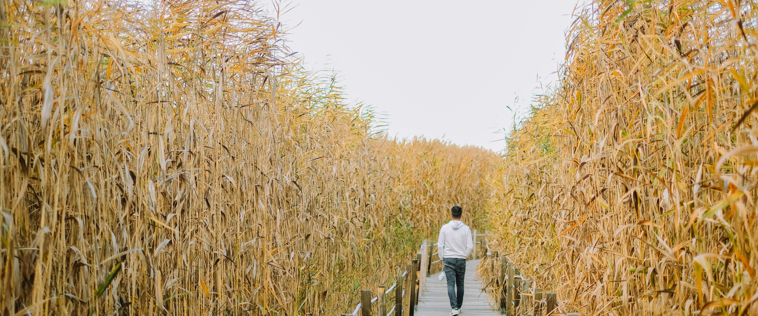 Testas Testauskas-antras – nuo čia neberodyti